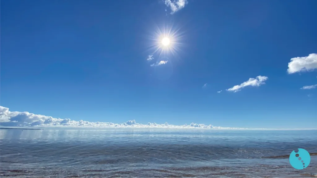 vitamine D