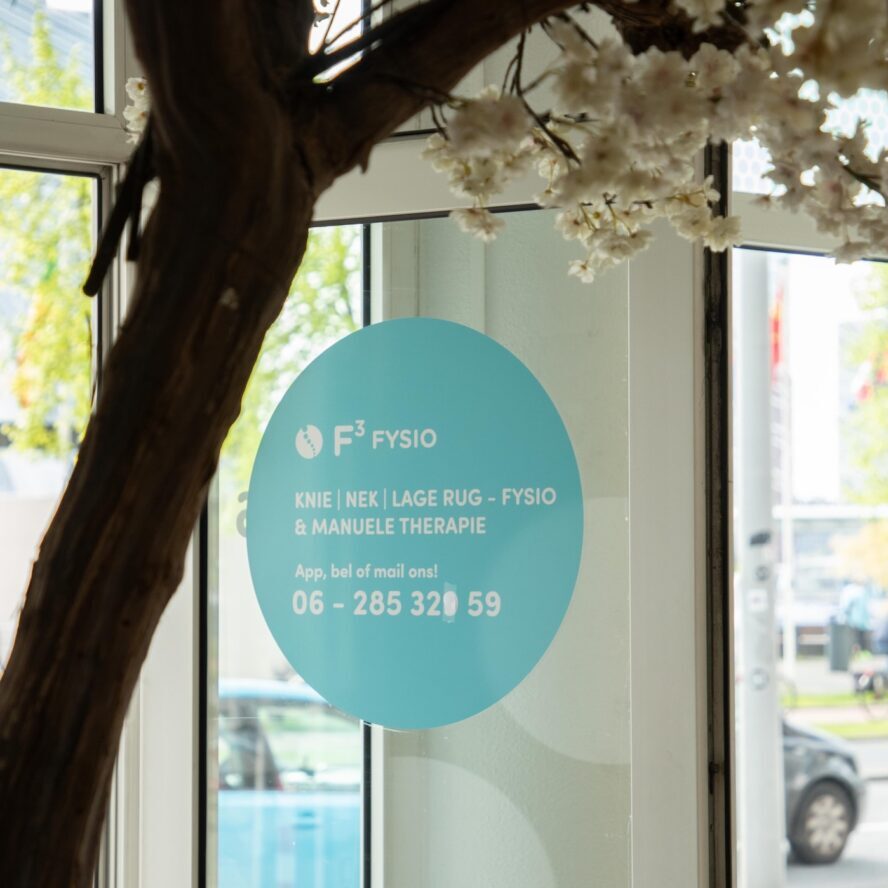 Entree F3 Fysio Rotterdam - Centrum (boompjes) vanuit de praktijk kijk je naar buiten met uitzicht op de Maas en Erasmusbrug, met een mooie boom binnen en de contactgegevens op de deur.