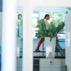 Vrouw staat op loopband in lichte en moderne fitnessruimte van F3 fysio met grote plant in het midden